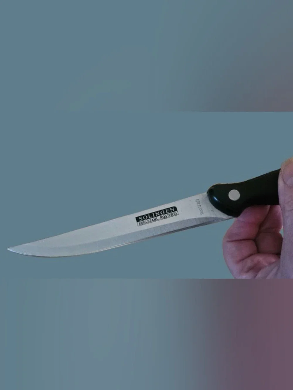 German Solinger Rosrfrei (Rust Free) Stainless Steel Knife Set. 6 w/Honing Rod
